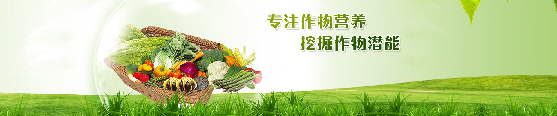 微生物菌劑